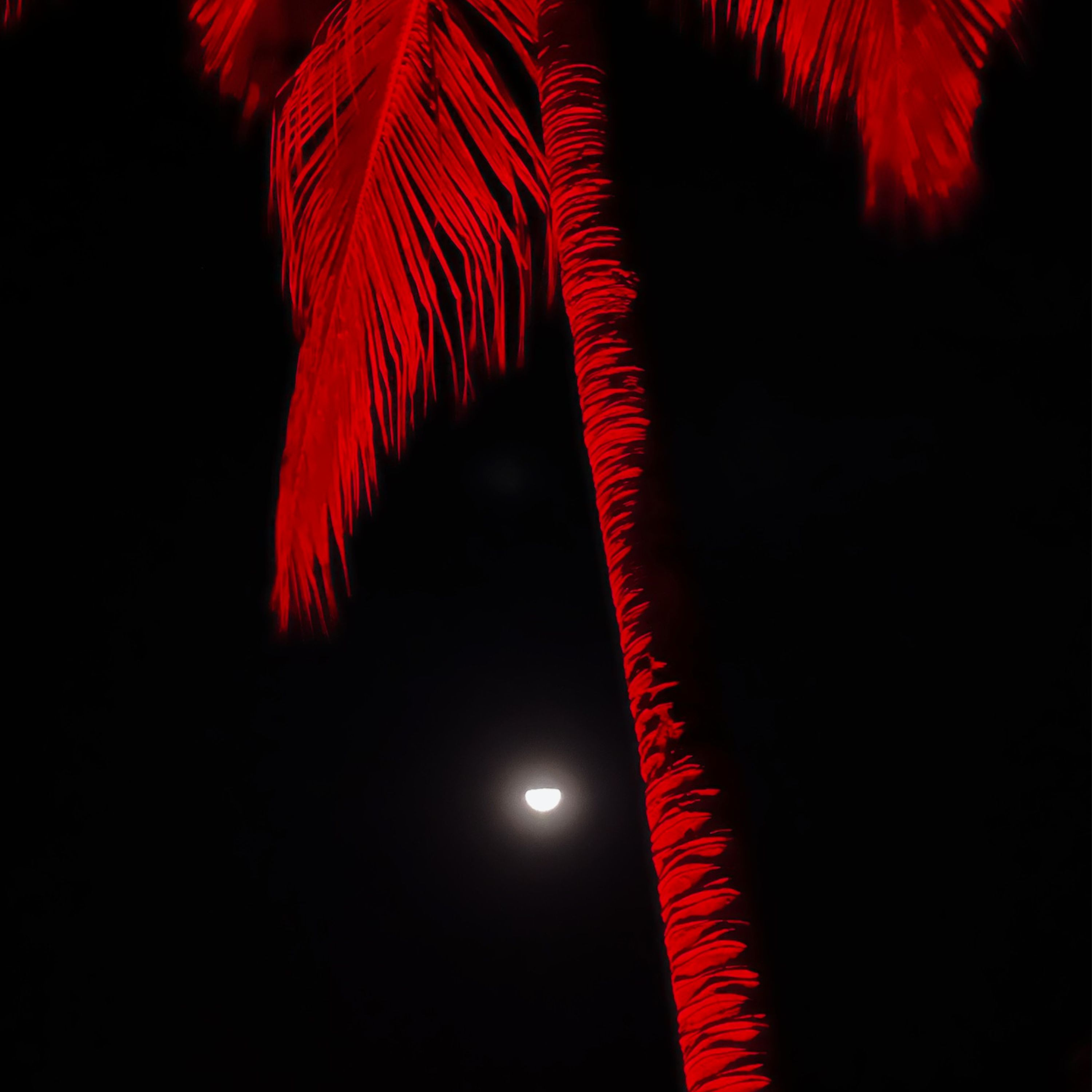 Here With You by Tristan Palmer